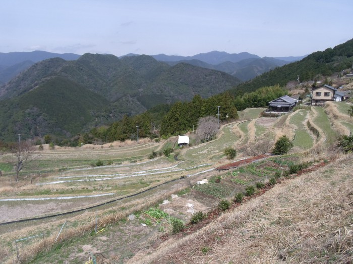 田植前の棚田