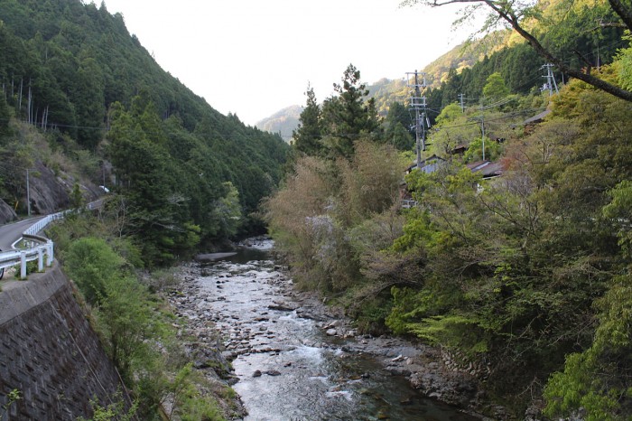 観音橋から見た景色