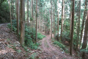 兵生の廃村