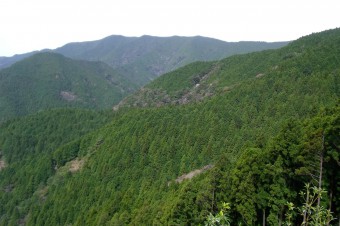 迂回路からの眺め