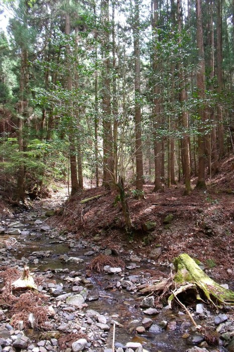 廃村を流れる湯川川