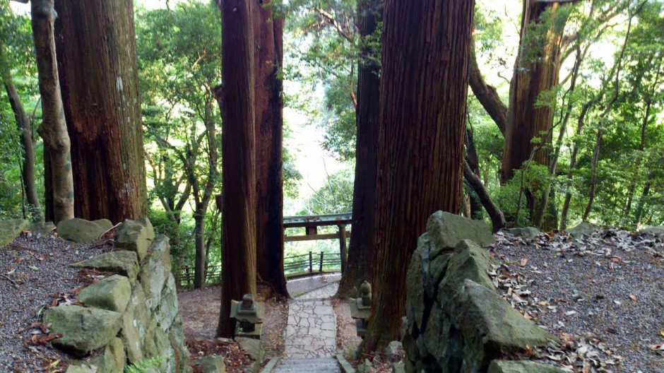 巨木に囲まれた参道